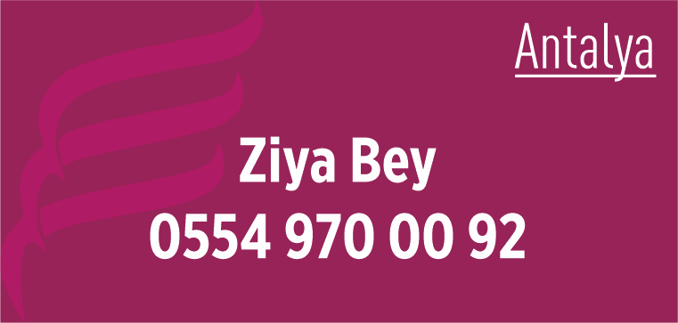 Ziya Bey